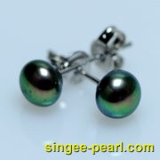 (8-8.5mm黑色)珍珠耳钉ED12001-3|心艺其他颜色淡水珍珠耳钉图片