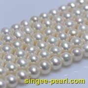 (11-12mm白色)珍珠直链ZL12003-4|心艺珍珠饰品网-珍珠图片