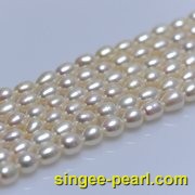 (7-8mm白色)珍珠直链ZL12006-1|心艺珍珠饰品网-珍珠图片