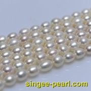 (8-9mm白色)珍珠直链ZL12011-1|心艺淡水珍珠饰品图片