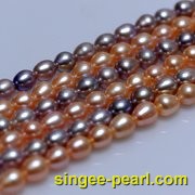 (8-9mm粉色，紫色)珍珠直链ZL12011-2|心艺淡水珍珠饰品图片