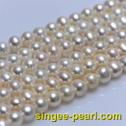 (8-9mm白色)珍珠直链ZL12016-4|心艺珍珠饰品网-珍珠图片