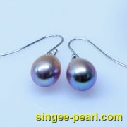 (9-9.5mm紫色)珍珠耳钉ED12063-3|心艺珍珠饰品网-珍珠图片