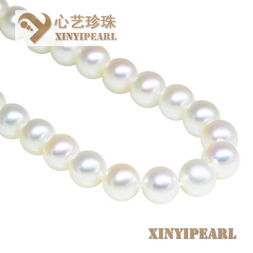 心艺珍珠图片:(10-11mm白色)珍珠项链XY15320->点击浏览大图